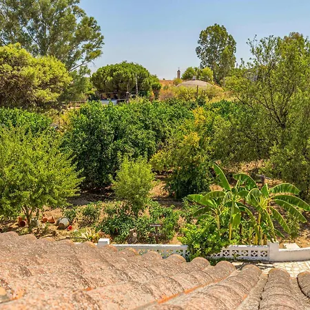 3 Bedroom Lovely Home In Olivares * Olivares (Seville)